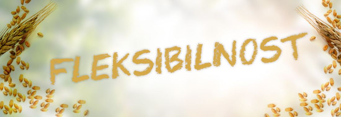 Fleksibilnost